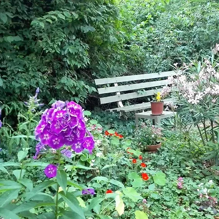 红杉花园别墅住宿加早餐旅馆 波尔多