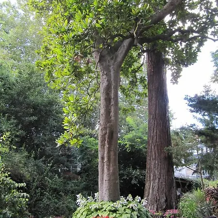 Sequoia Garden Bed & Breakfast