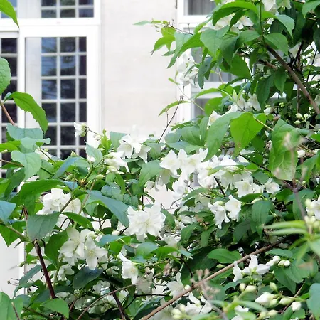 Sequoia Garden Bed & Breakfast Bordeaux