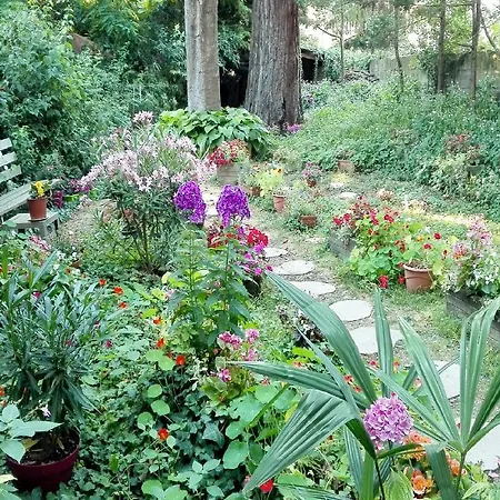 Sequoia Garden