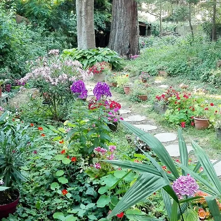 Sequoia Garden 2*